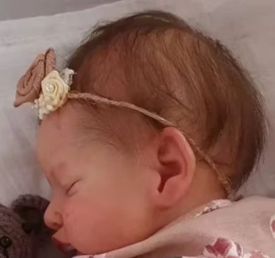 49cm Ganzkörper Vinyl Silikon  – Reborn Baby Doll Silicone Realistic Bewertung und Preis